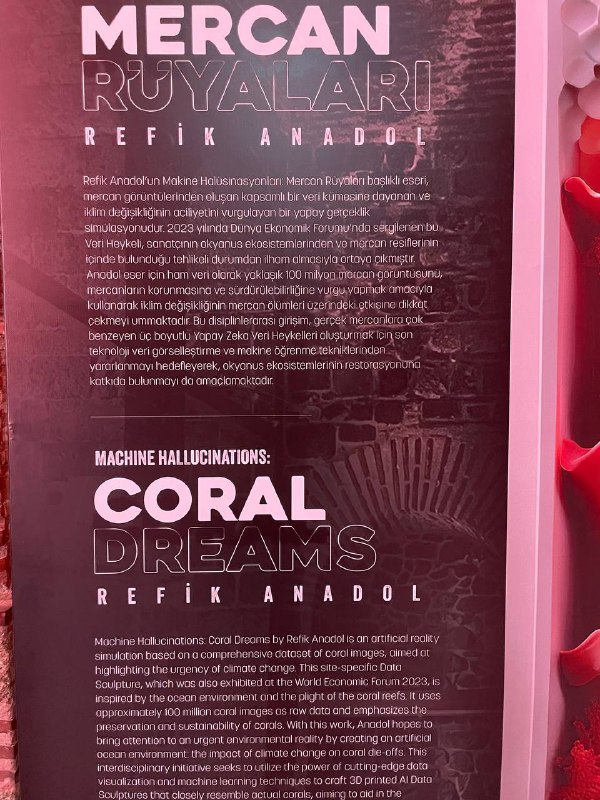 Түркия: «Корал» заманауи өнер көрмесі